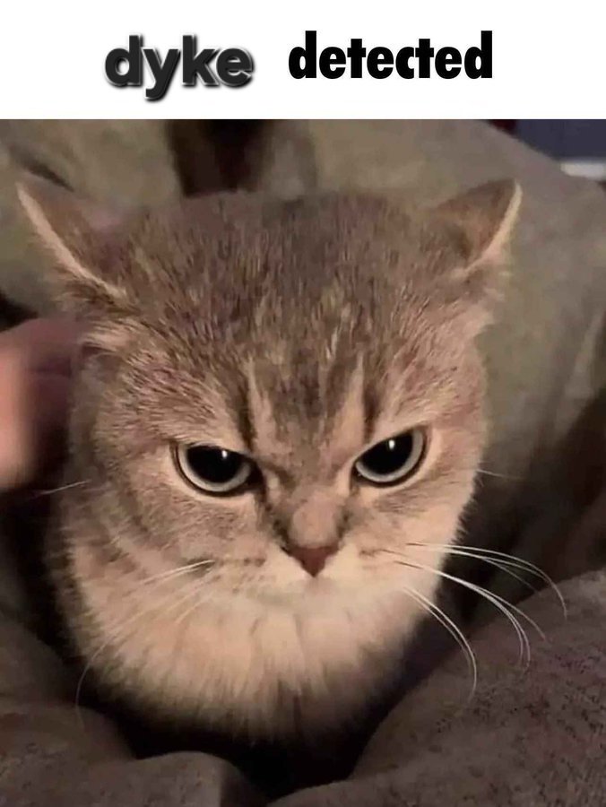 Sarah Salad tweet media