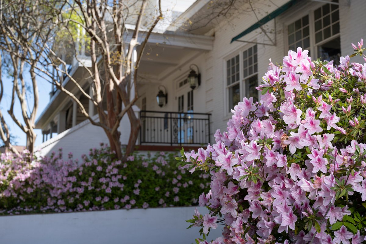 Louisiana Tech University tweet media