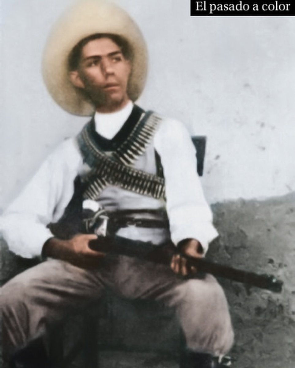 Historiador dibujante tweet media