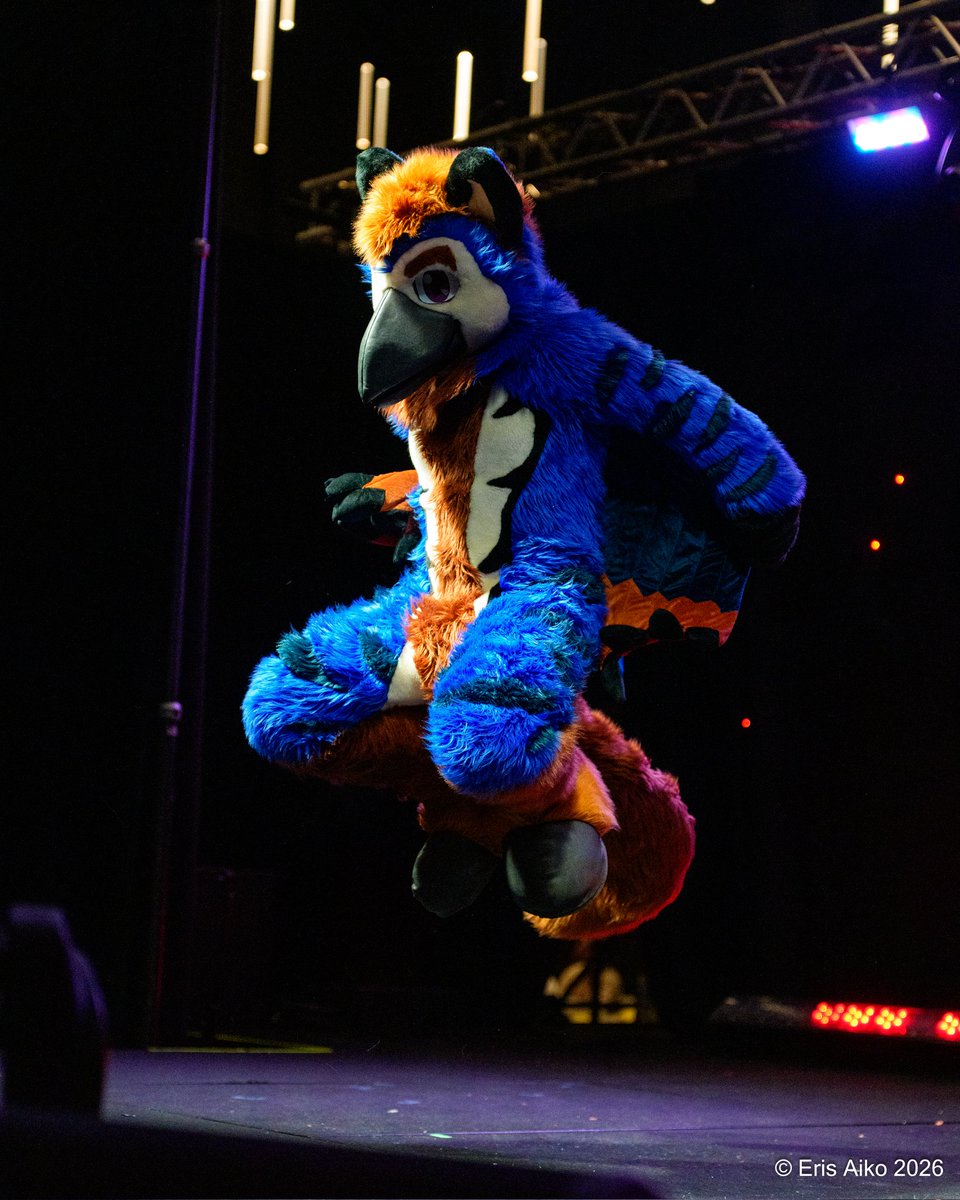 Sulfer or a birb 🔜 TFF tweet media