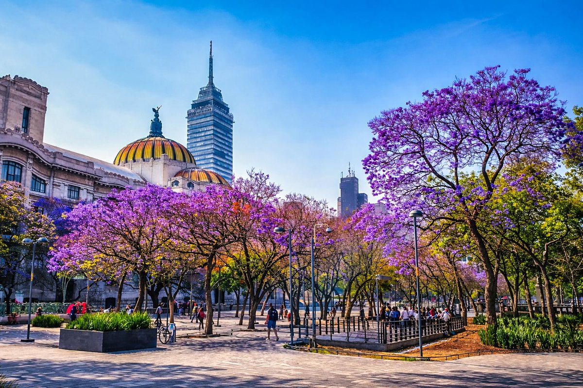 Autoridad del Centro Histórico tweet media