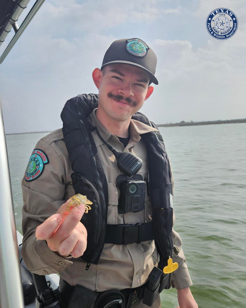 Texas Game Wardens tweet media