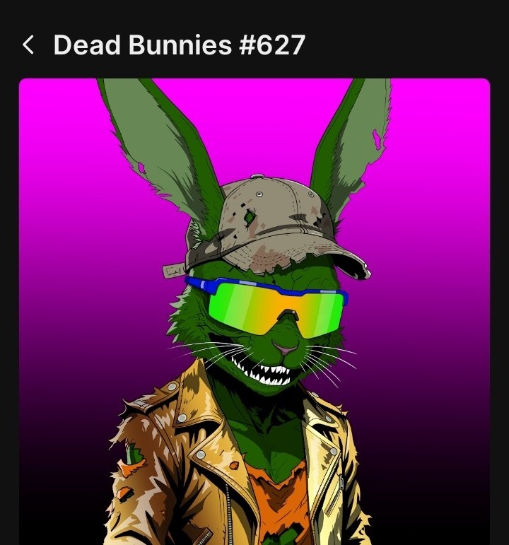 The MomoVerse 🚀 tweet media