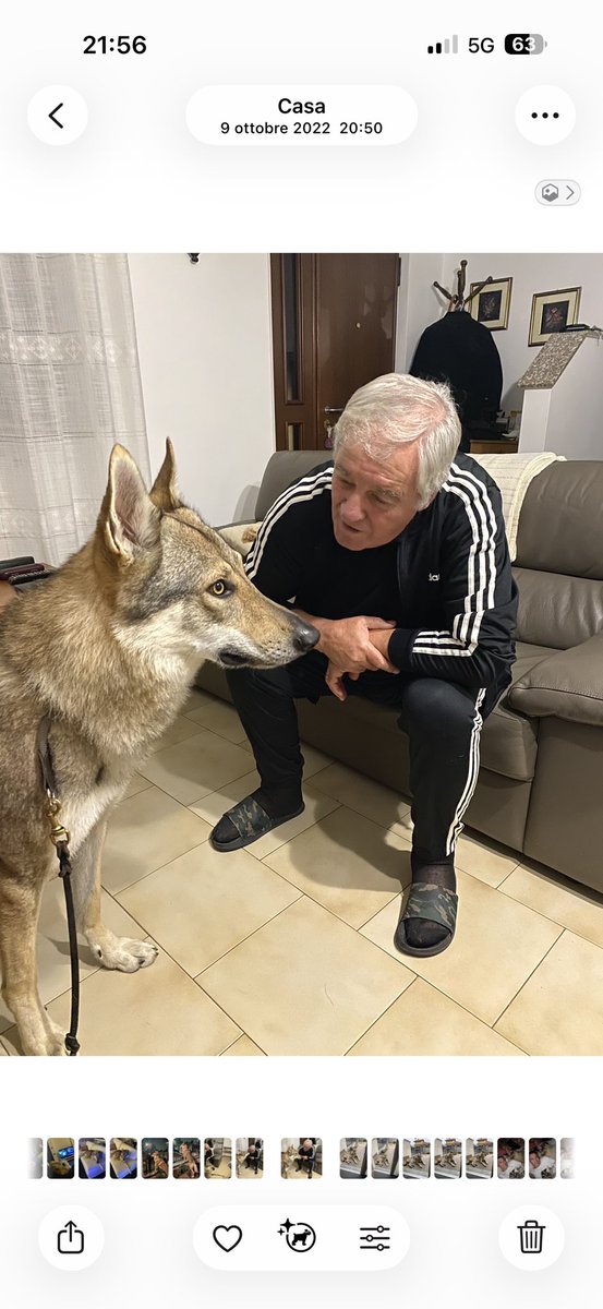 ๐
ผ๐
ฐ๐ ๐
ณ๐
ด๐
ธ ๐๐
พ๐ tweet media