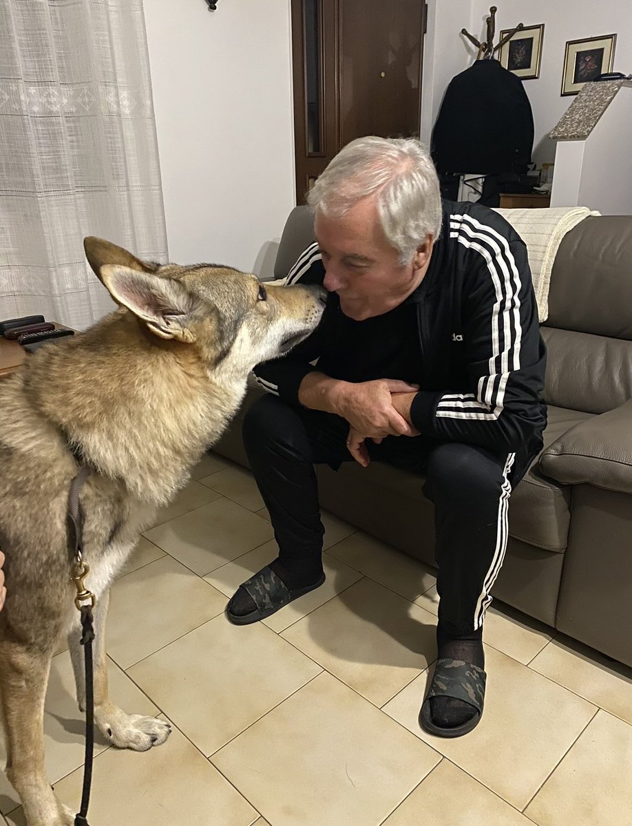 ๐
ผ๐
ฐ๐ ๐
ณ๐
ด๐
ธ ๐๐
พ๐ tweet media