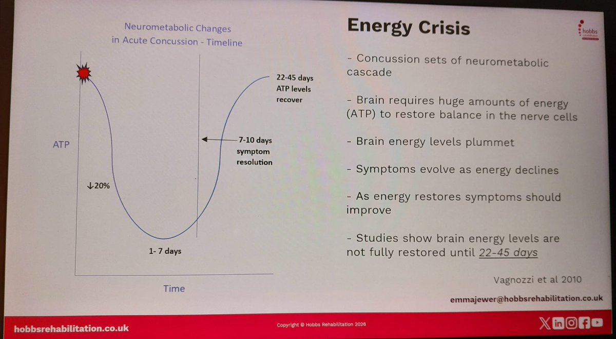 physiosinsport's tweet photo. What happens when we sustain a concussion? https://t.co/eJxN68adv5