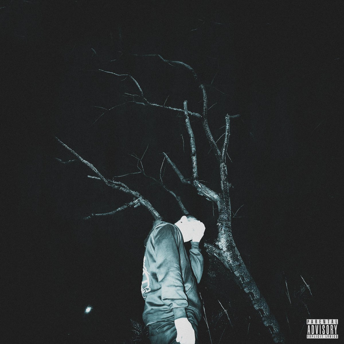 SEMDÓVANNACCI tweet media