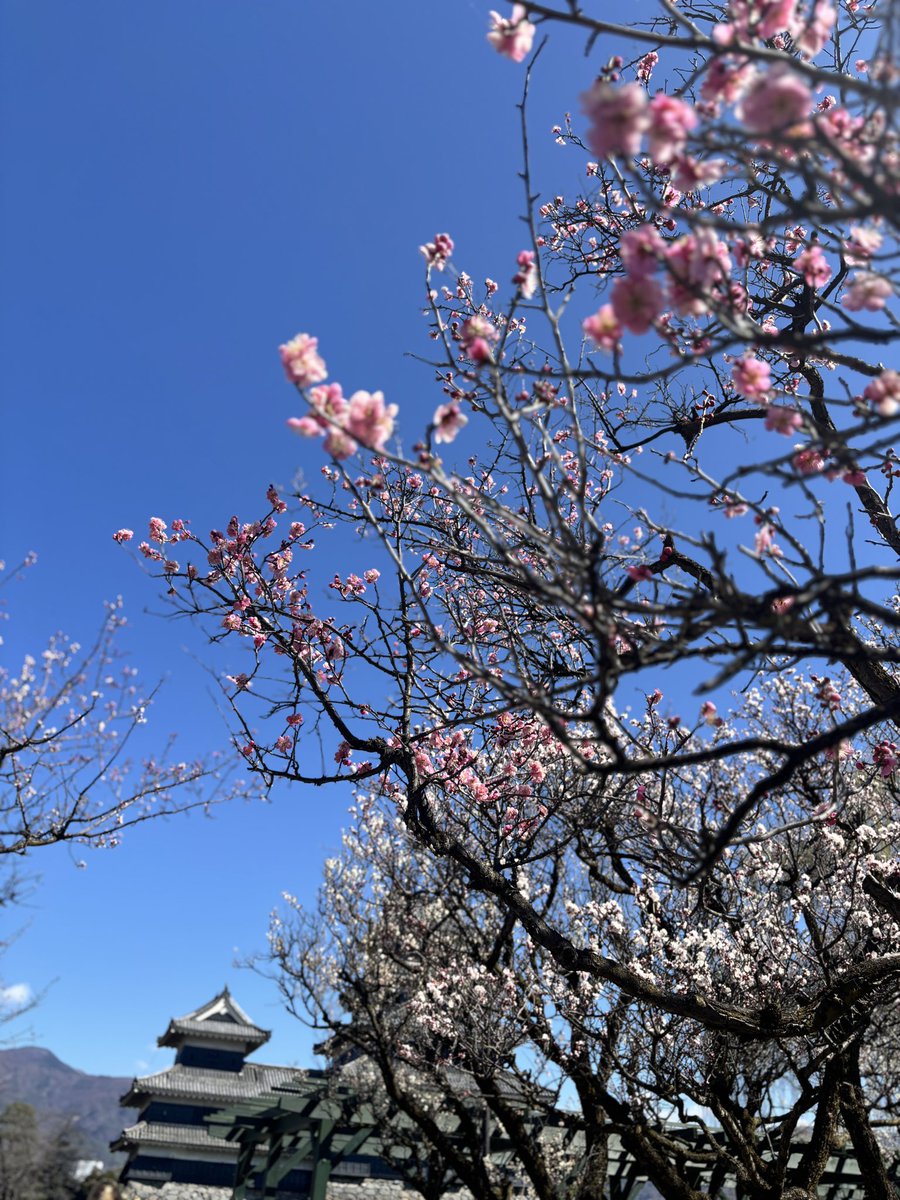 山岸 望@高ボッチ高原FMパーソナリティ tweet media