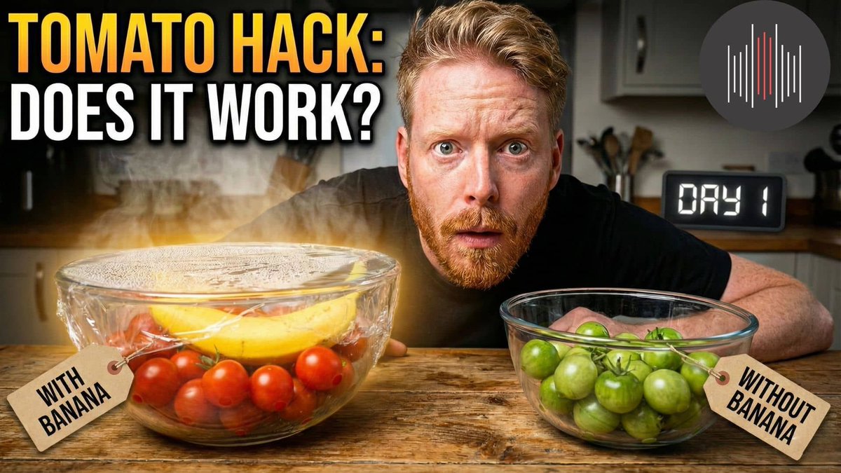 GlobalOwls 🌎 tweet media