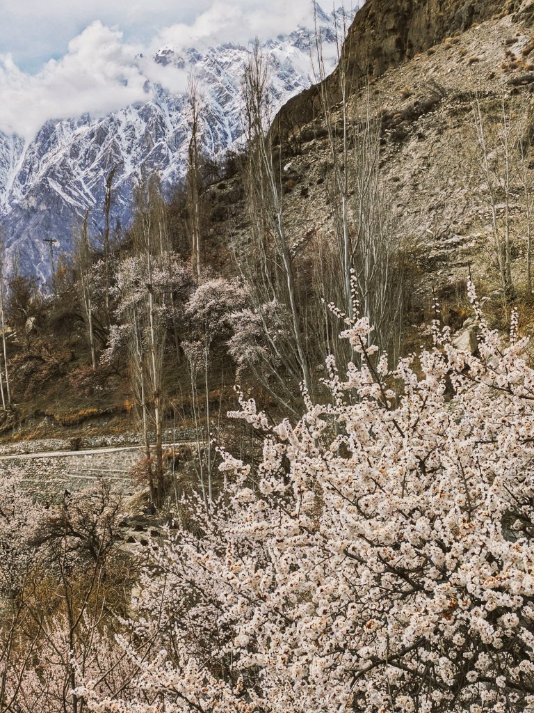 BeingHunzai tweet media