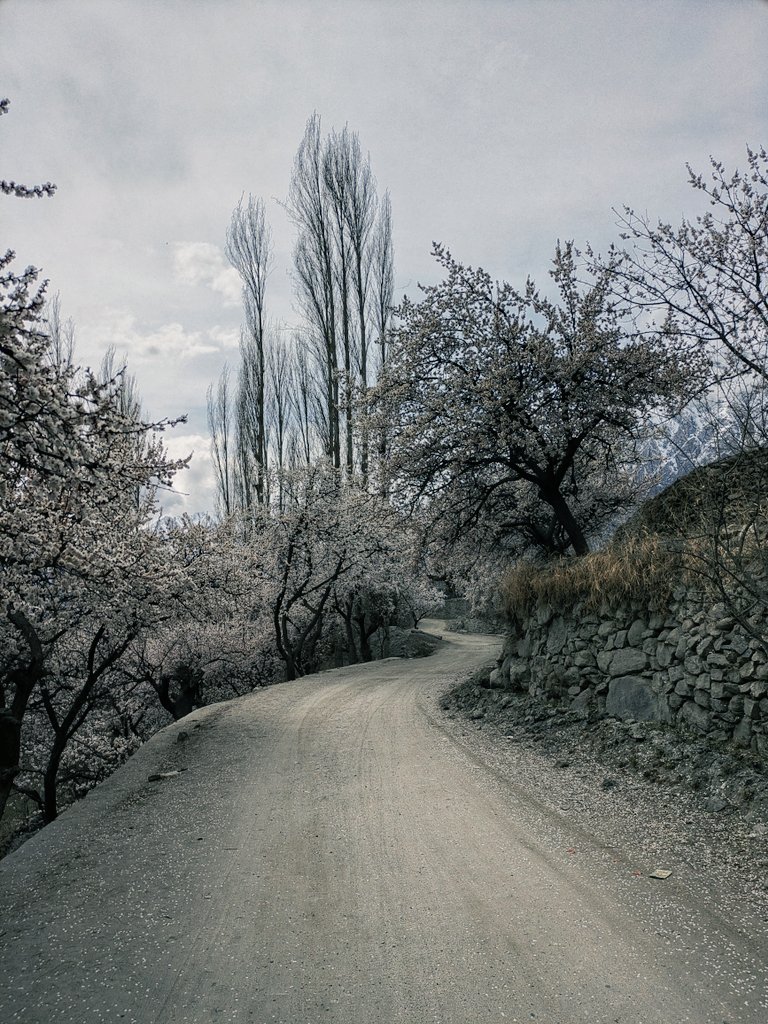 BeingHunzai tweet media