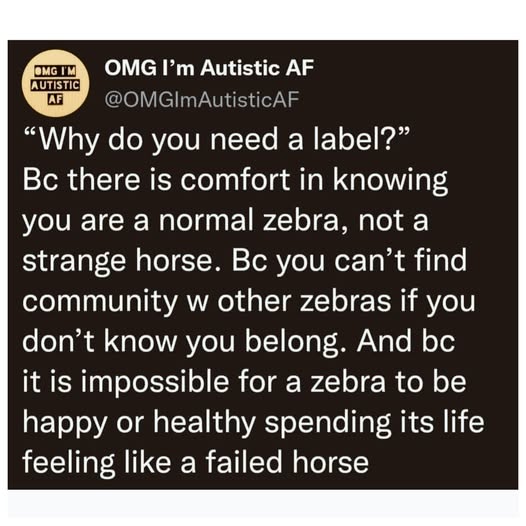 Trelyon ➡ ❄⋆⁺₊ NotLeavingTheHouseCon ⋆⁺₊⋆ ❄ ⁺₊⋆ ❄ tweet media