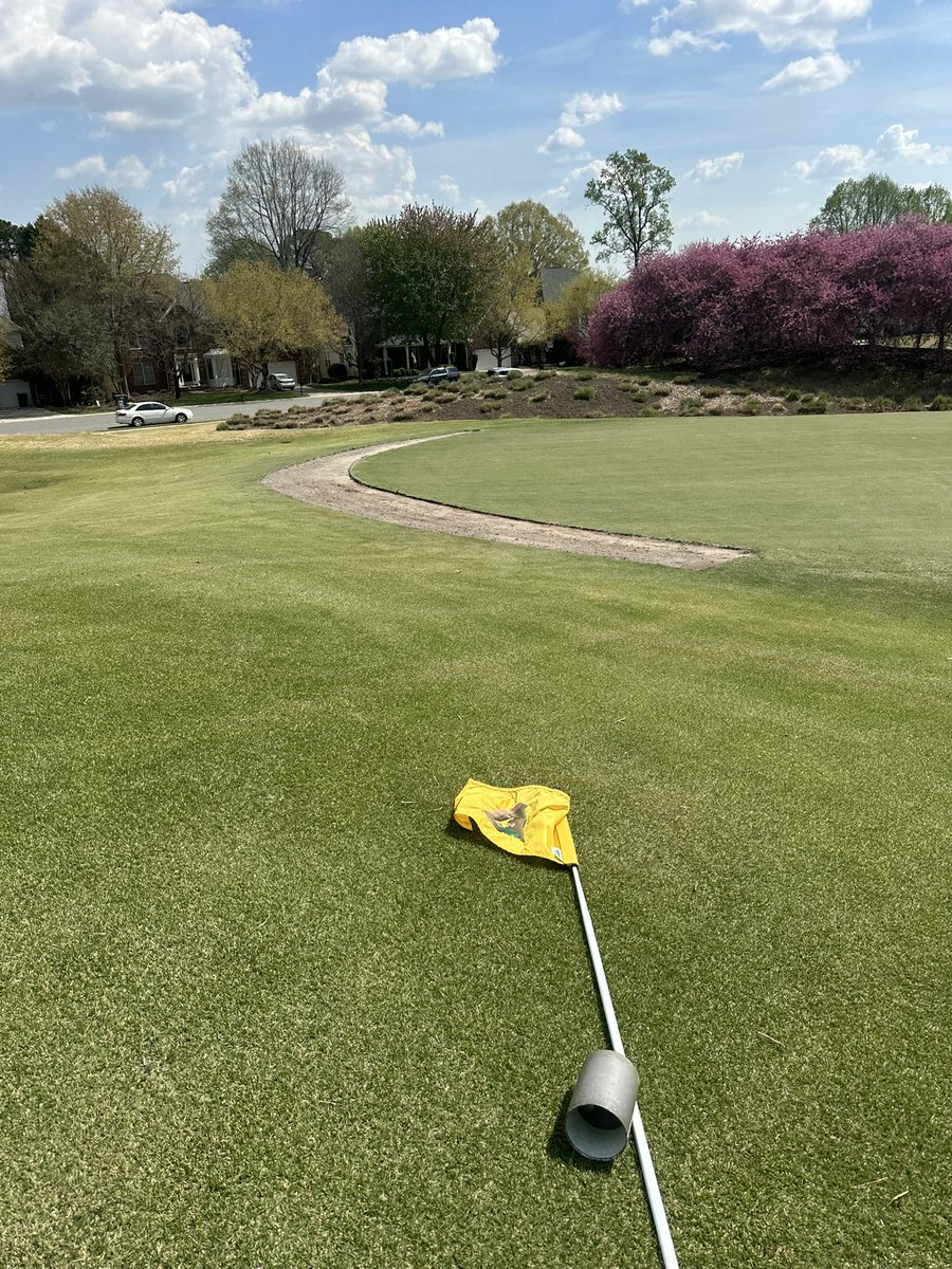 Daryck Beetham tweet media