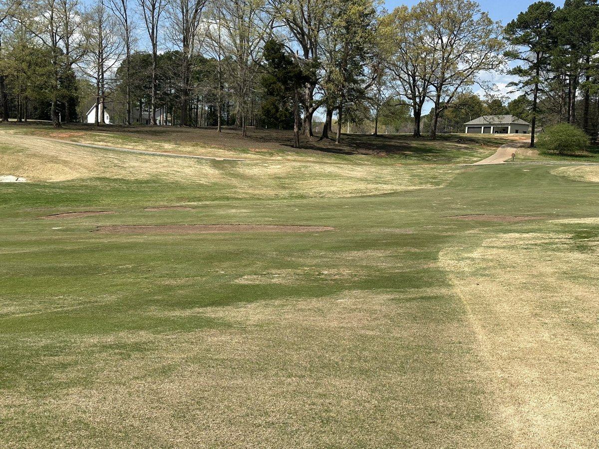 Daryck Beetham tweet media