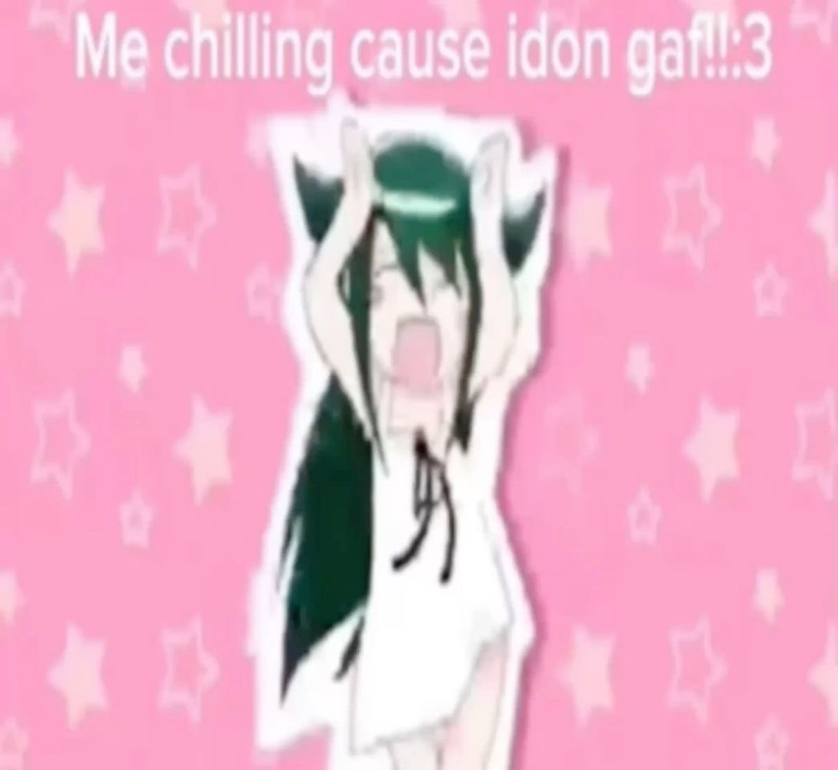 bre 🐾 tweet media