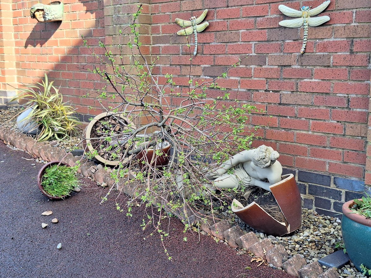 Keith Boldy tweet media