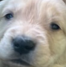 Monfer58 🍉 tweet media