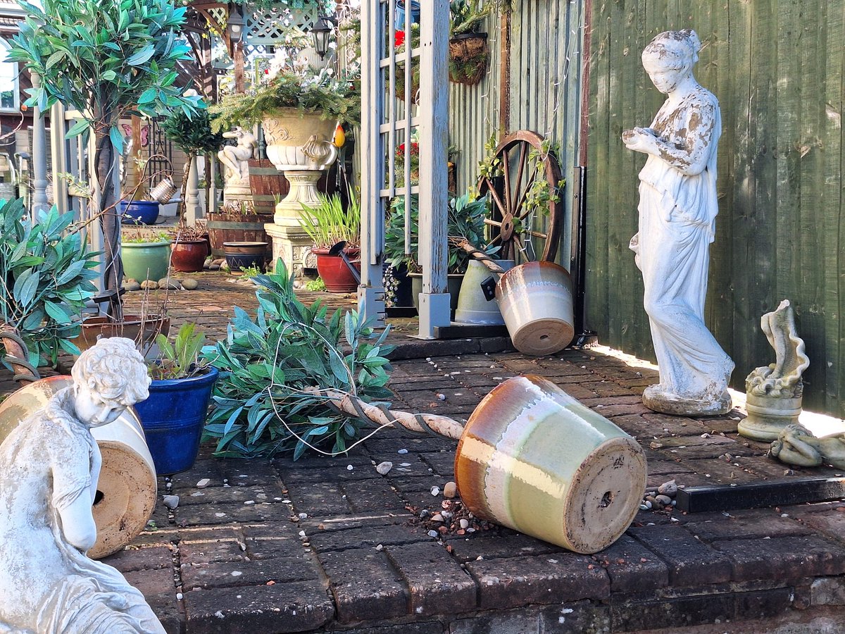 Keith Boldy tweet media