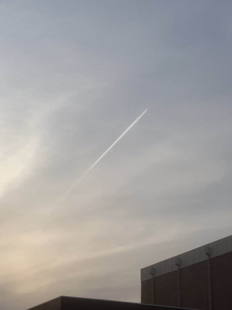 パピー tweet media