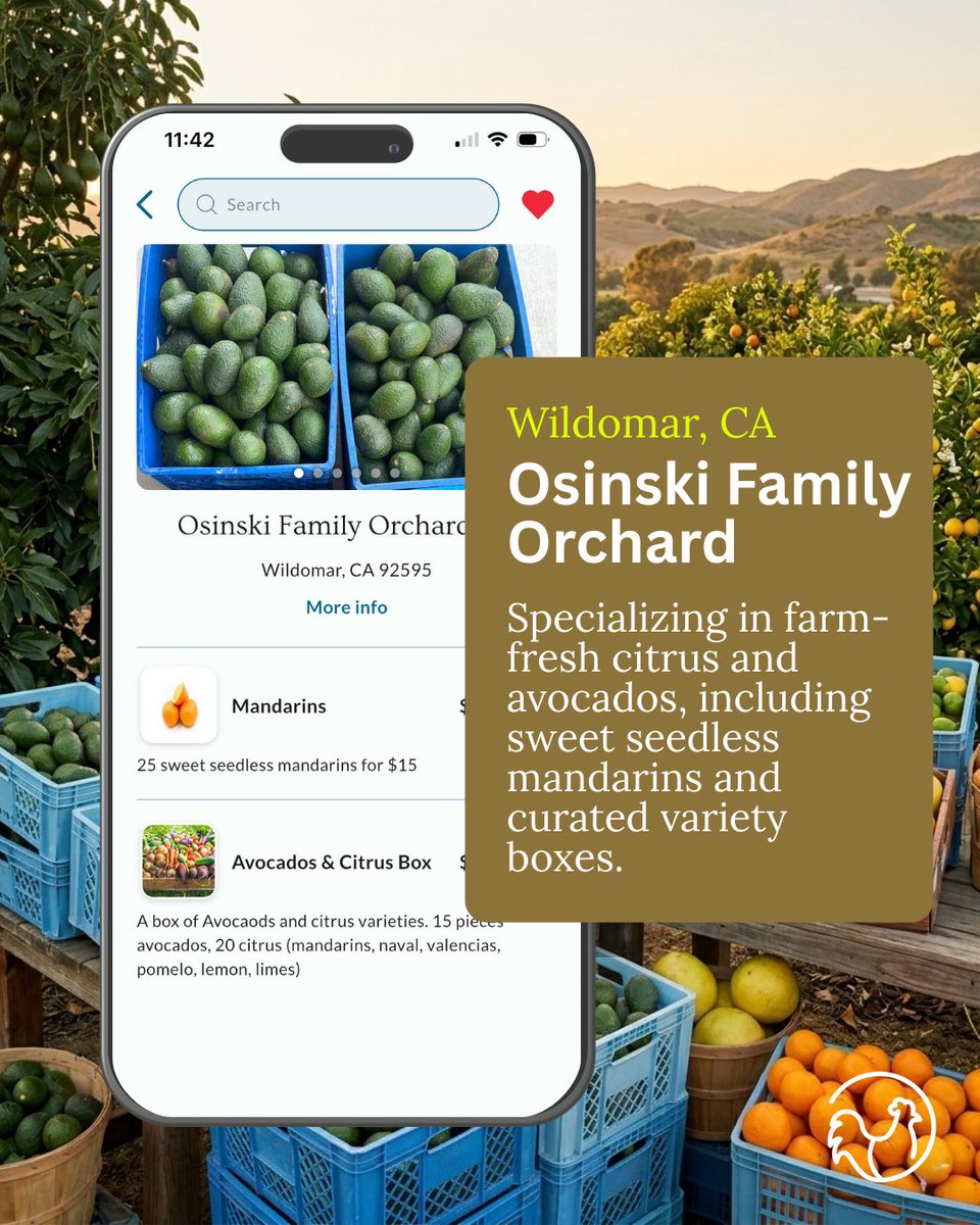 🌸 4 Southern California sellers now on <a href="/redhenapp/">Red Hen App</a>:

🍞 Sourdough challah + produce — Santee
🥚 Pasture-raised eggs — Nuevo
🪱 Worm castings — Winchester
🥑 Citrus + avocados — Wildomar

Seller code: e01fcb23f3
Buyer code: d4f8044e1c