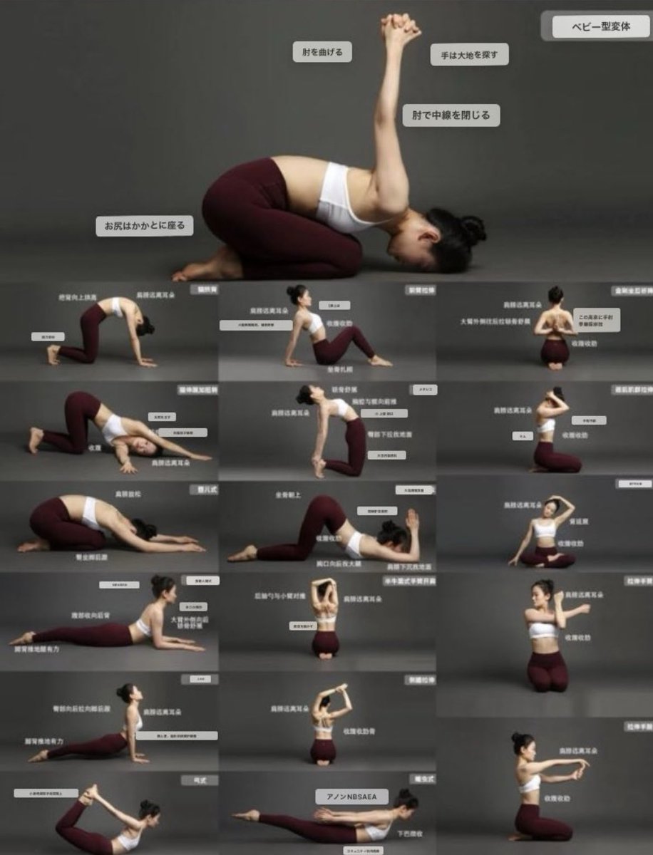 フォローすると痩せるマナティ♂ tweet media