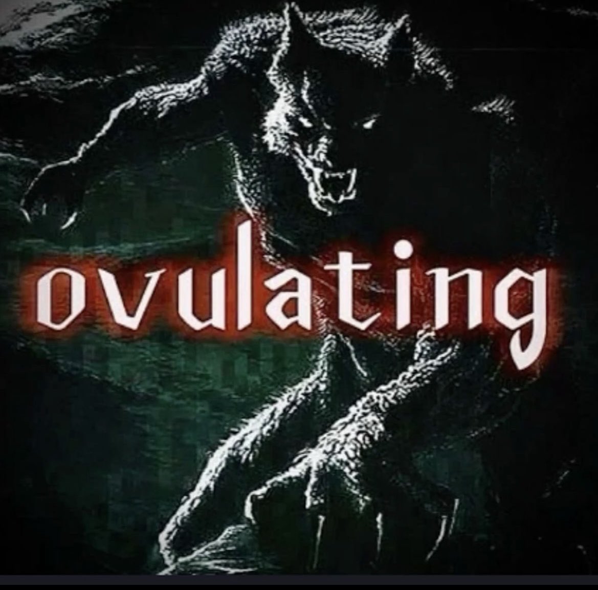 Kaii🦝(🗝️🔅) tweet media