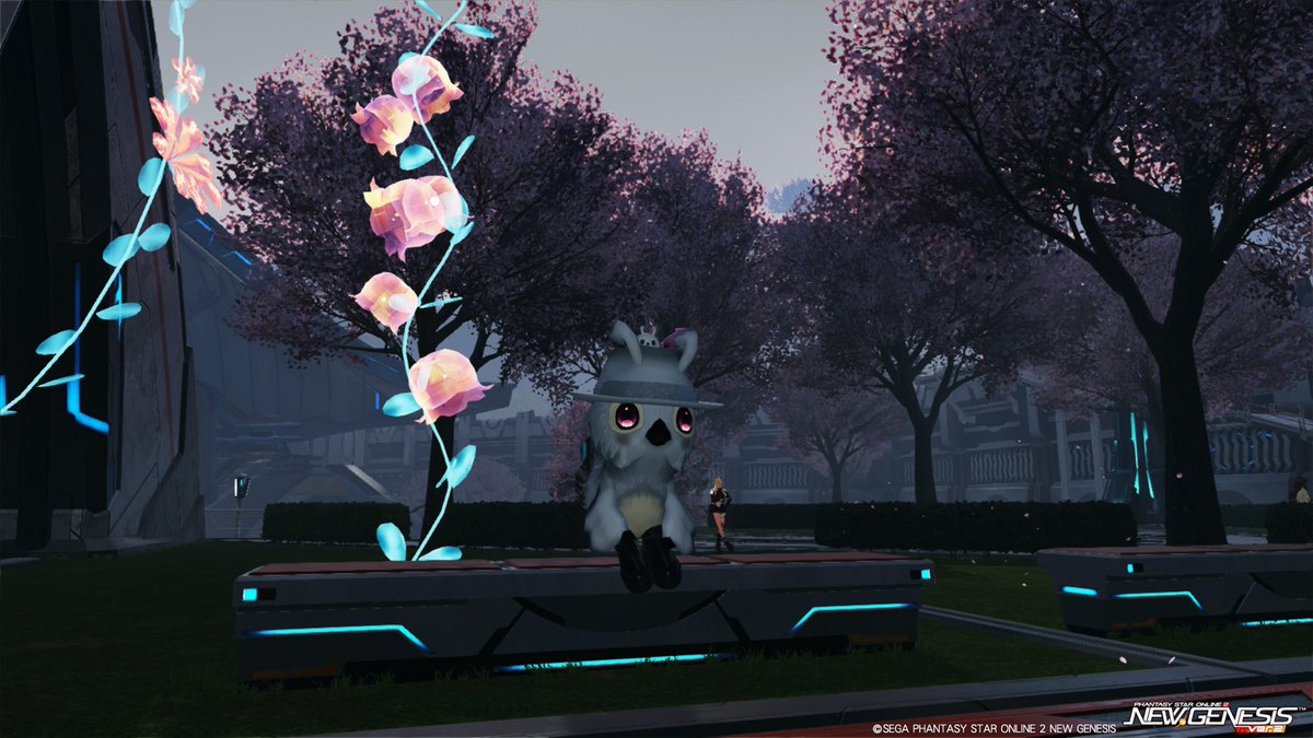 wizard_ghost tweet media