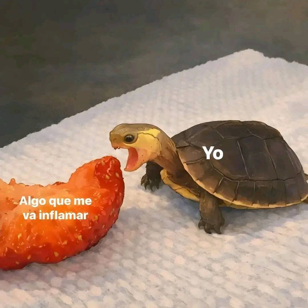 💖 (@twaniimals) on Twitter photo 