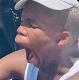 Ludwig Forsac tweet media