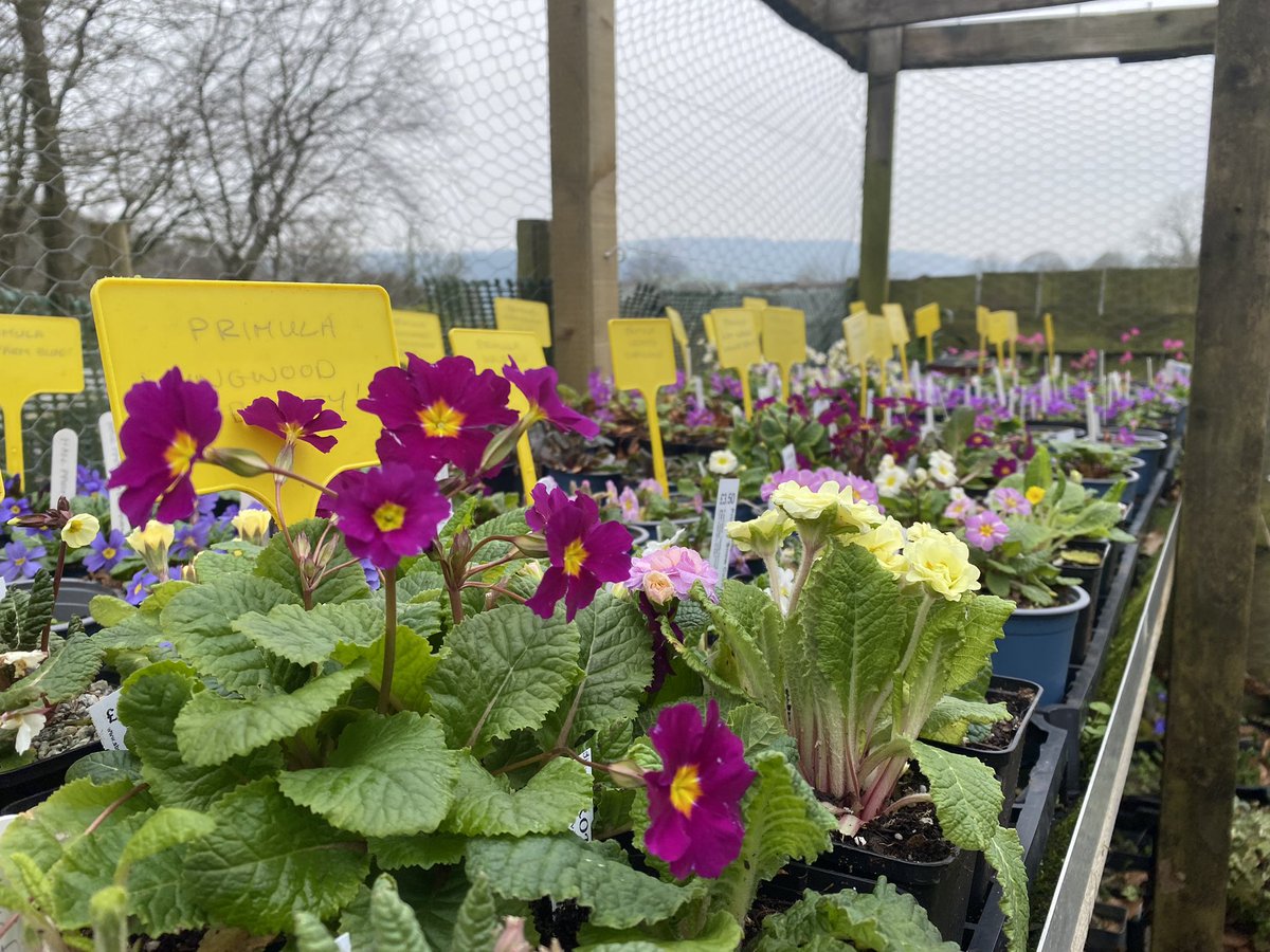 Michael Myers tweet media