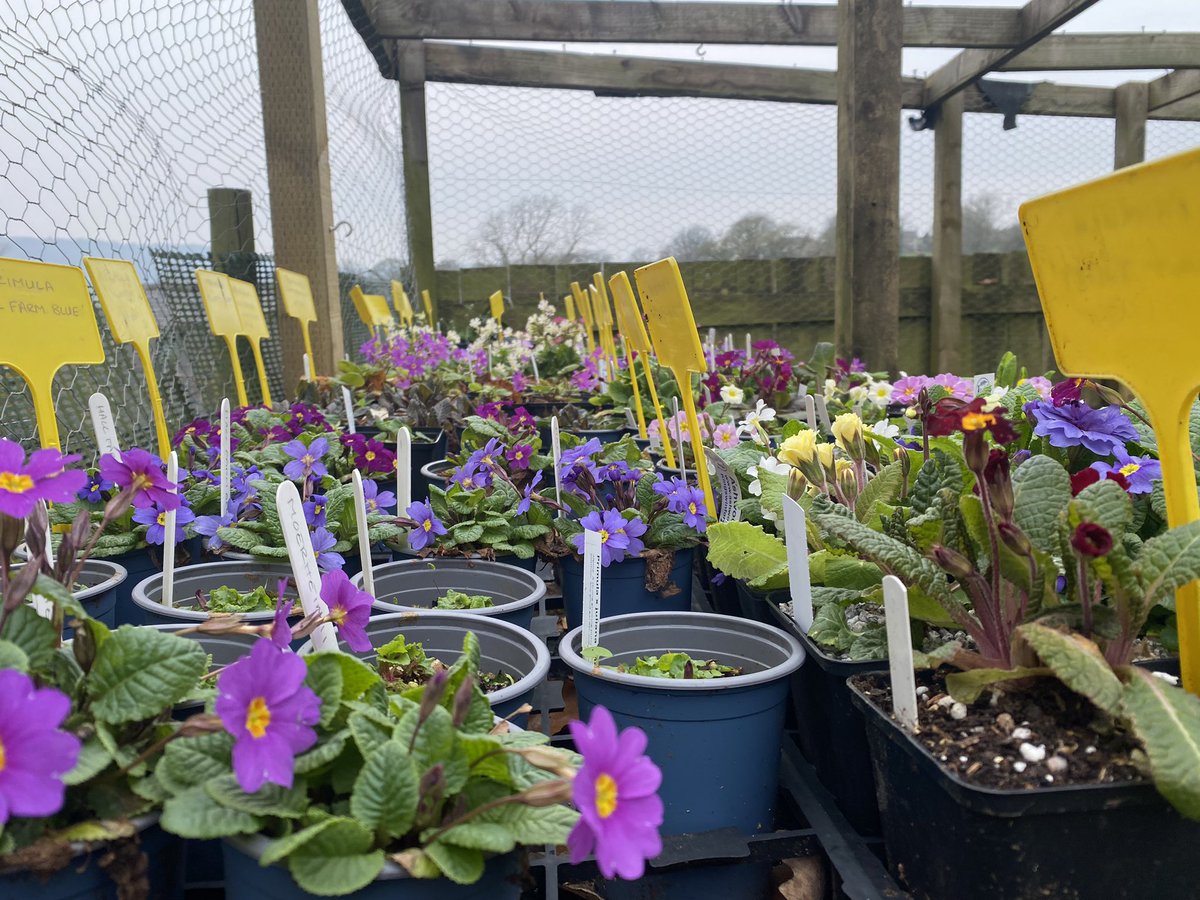 Michael Myers tweet media