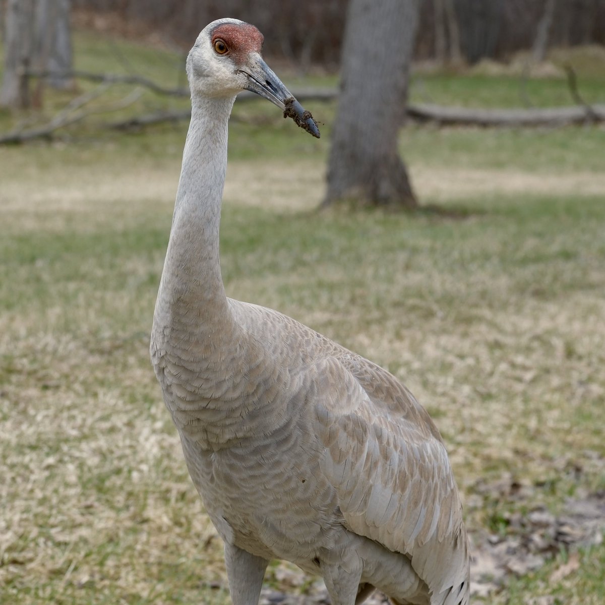 Justin Friskie tweet media