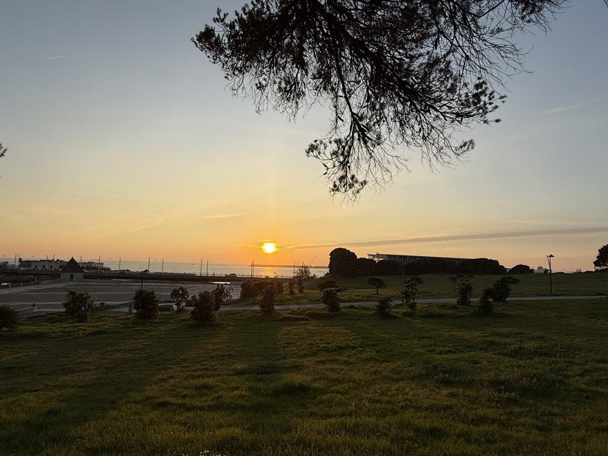 José Couto ("Agostinho") tweet media