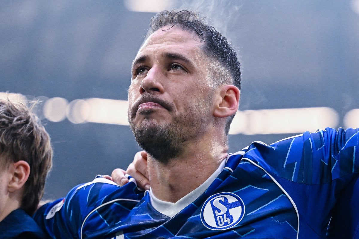 SchalkeZone tweet media