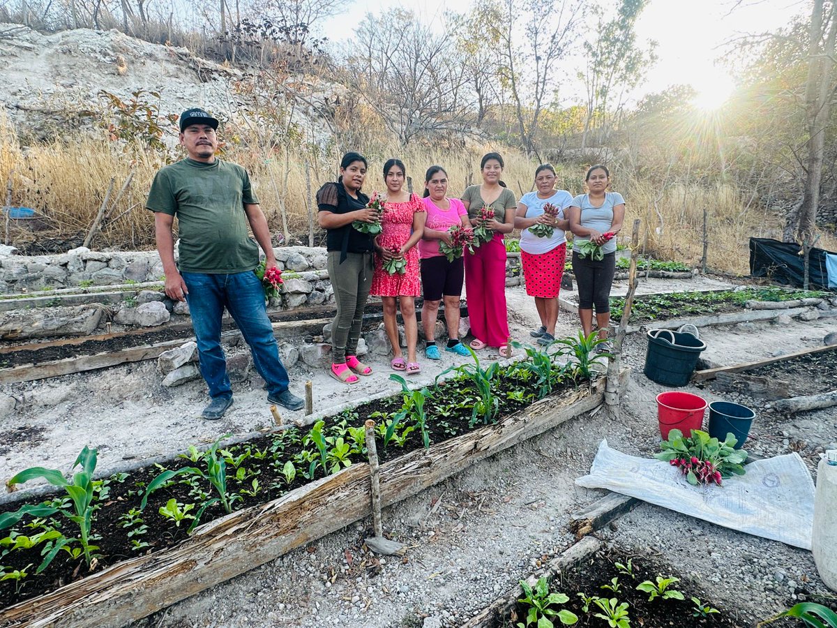 MAGA Guatemala tweet media