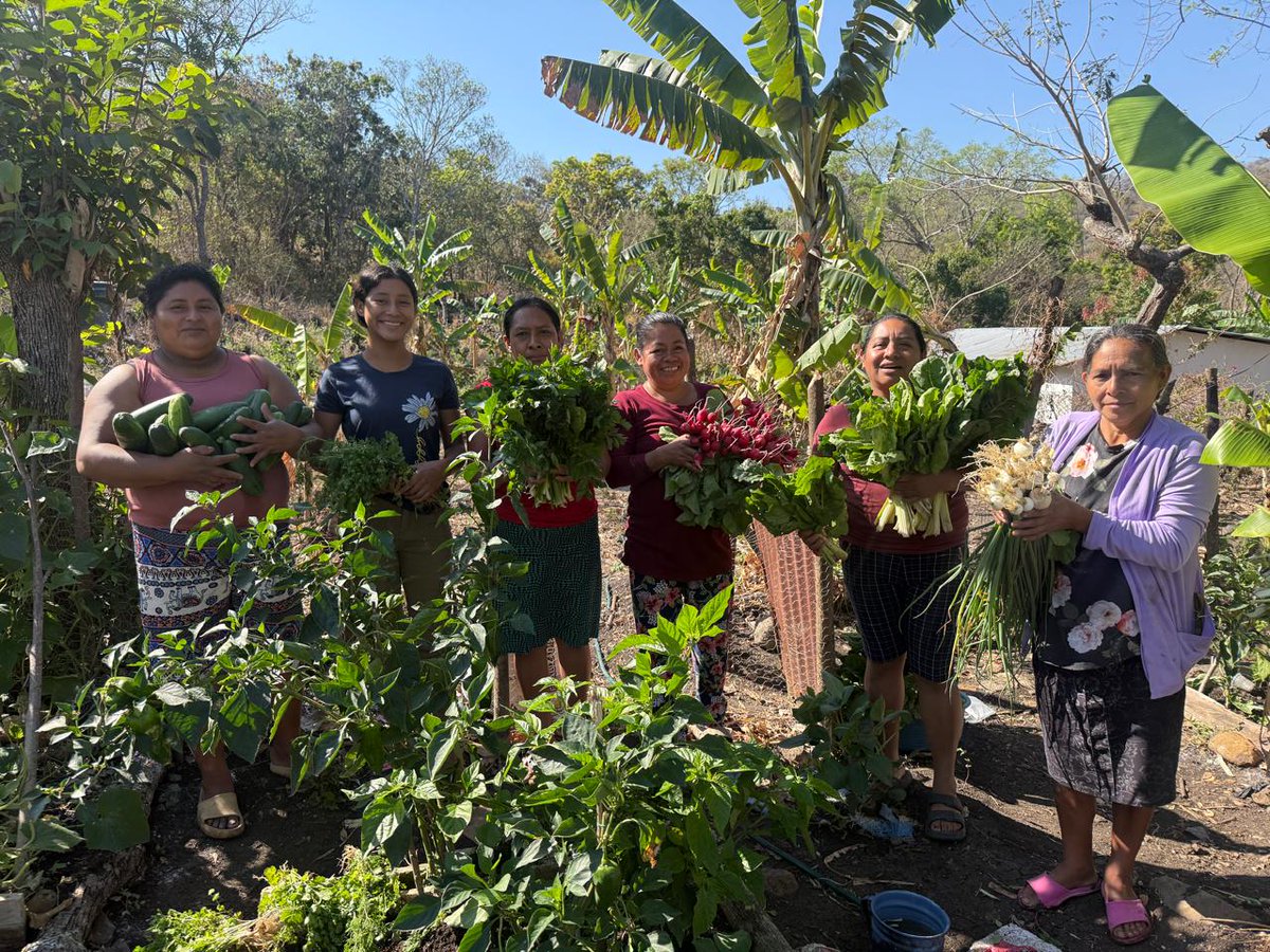 MAGA Guatemala tweet media