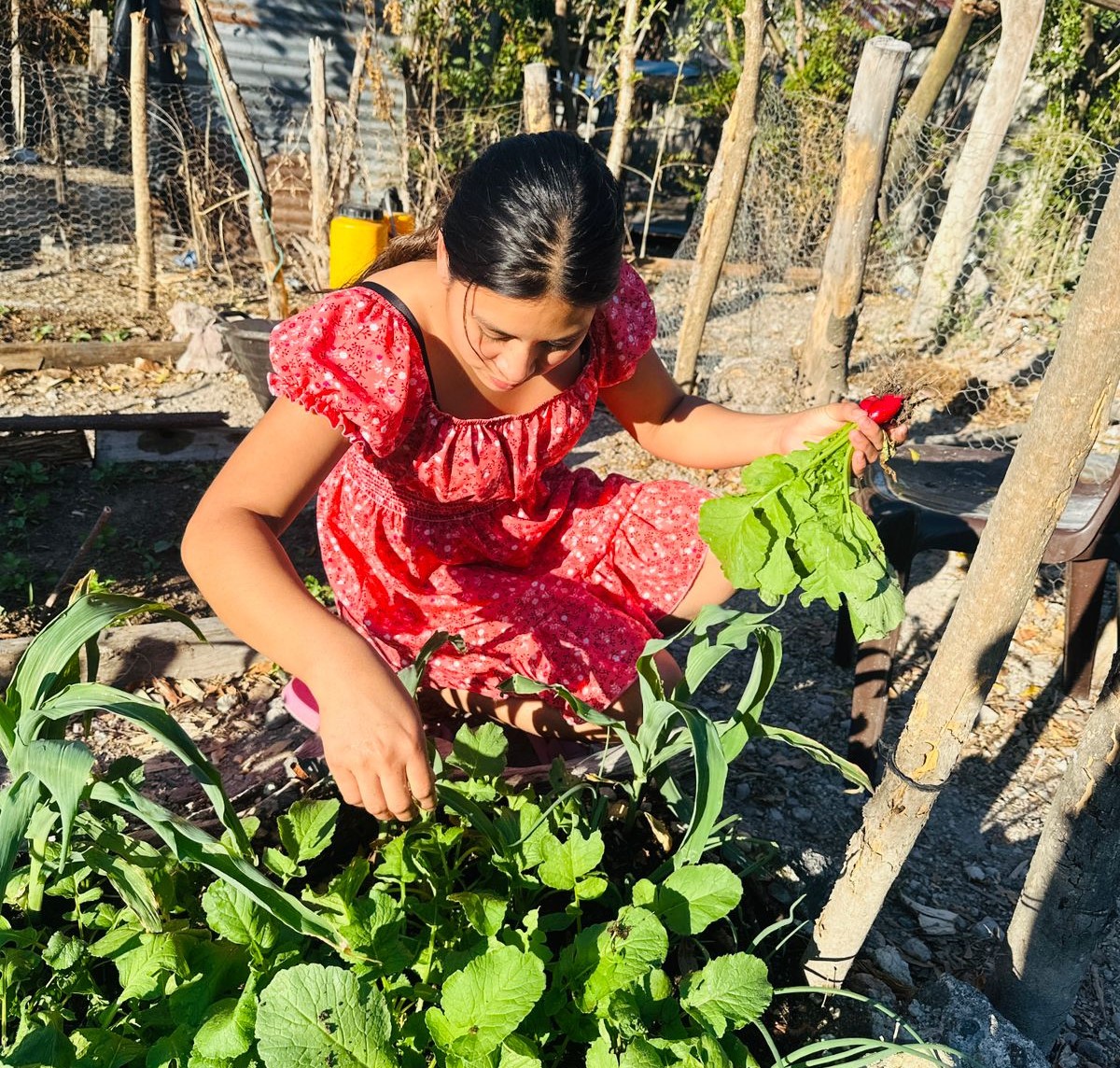 MAGA Guatemala tweet media