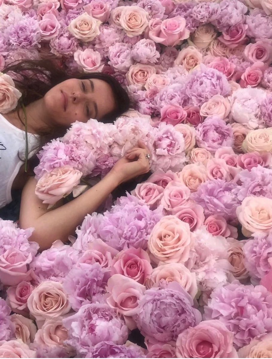 Lisa Eldridge tweet media