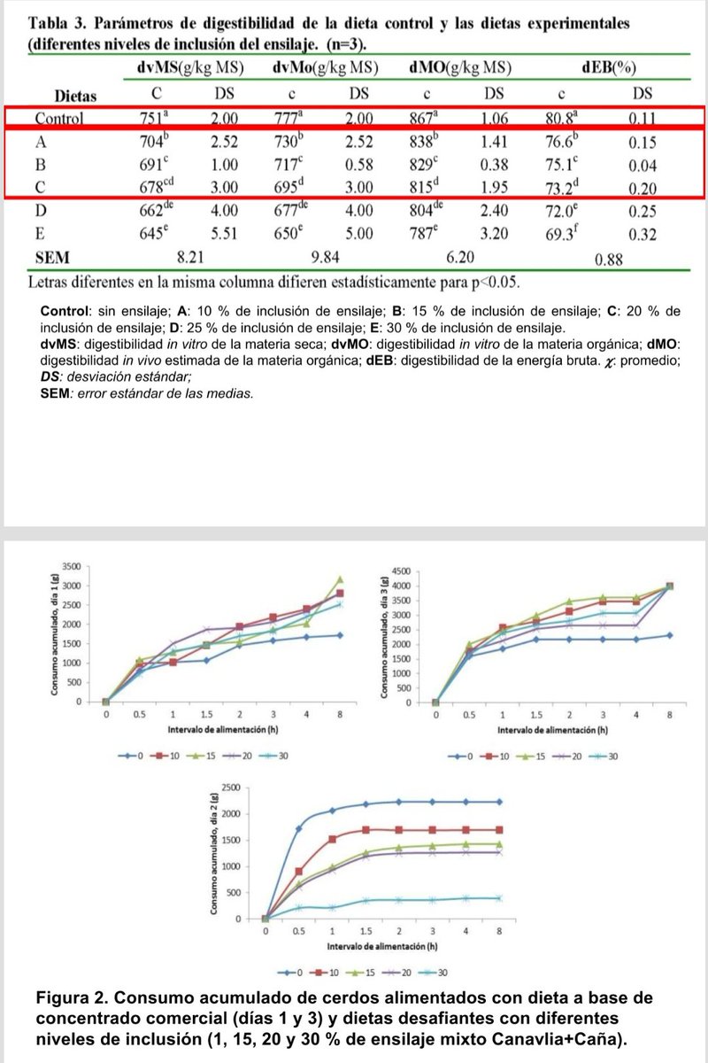 Ensilajes de alta calidad a partir de recursos locales, una alternativa para cerdos en crecimiento - ceba. La <a href="/FacUclv/">FacAgropecuariasUCLV</a> no se detiene! #CubaEstáFirme
