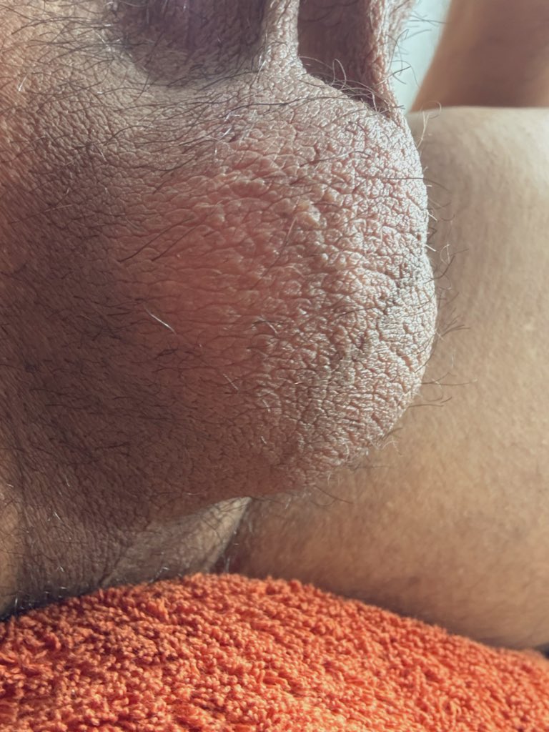 conejo malo tweet media