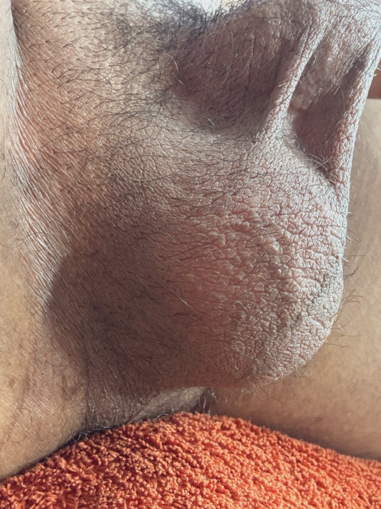 conejo malo tweet media