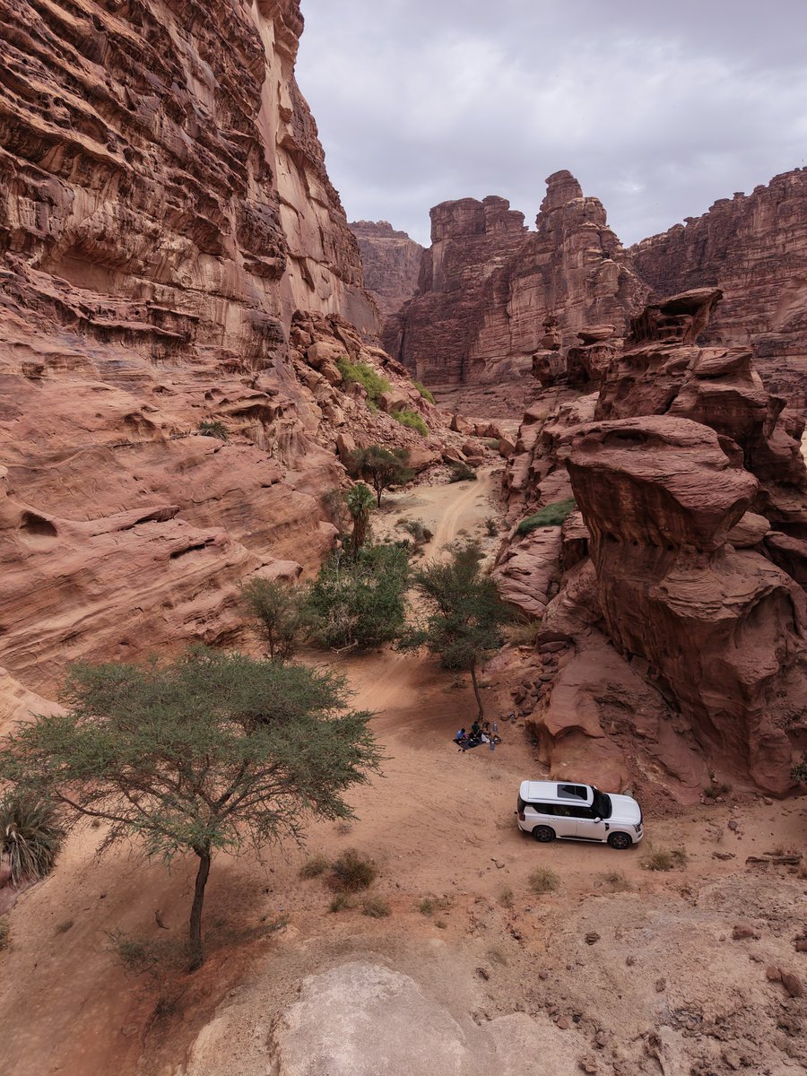 K_almoaither's tweet photo. Uncharted 3 in real life 🏜️ 🌴 
- تبوك، وادي الديسة🇸🇦 https://t.co/ASKJq29QrN