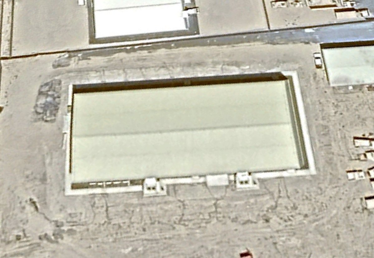 🇵🇸 tweet media