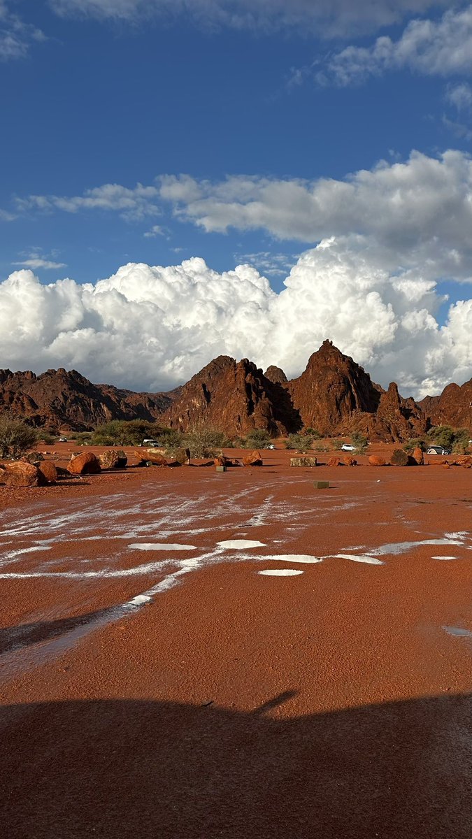 صقر -🇸🇦 tweet media