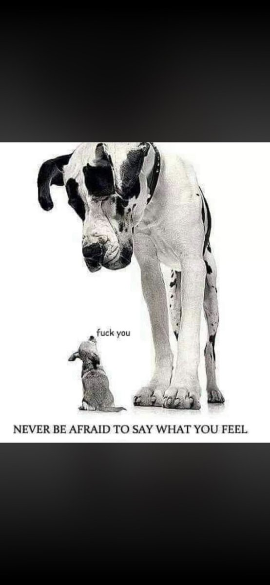 Fearless tweet media