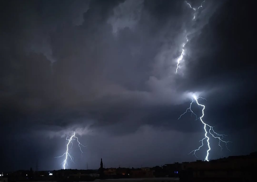 Zoalfekar🔱 tweet media