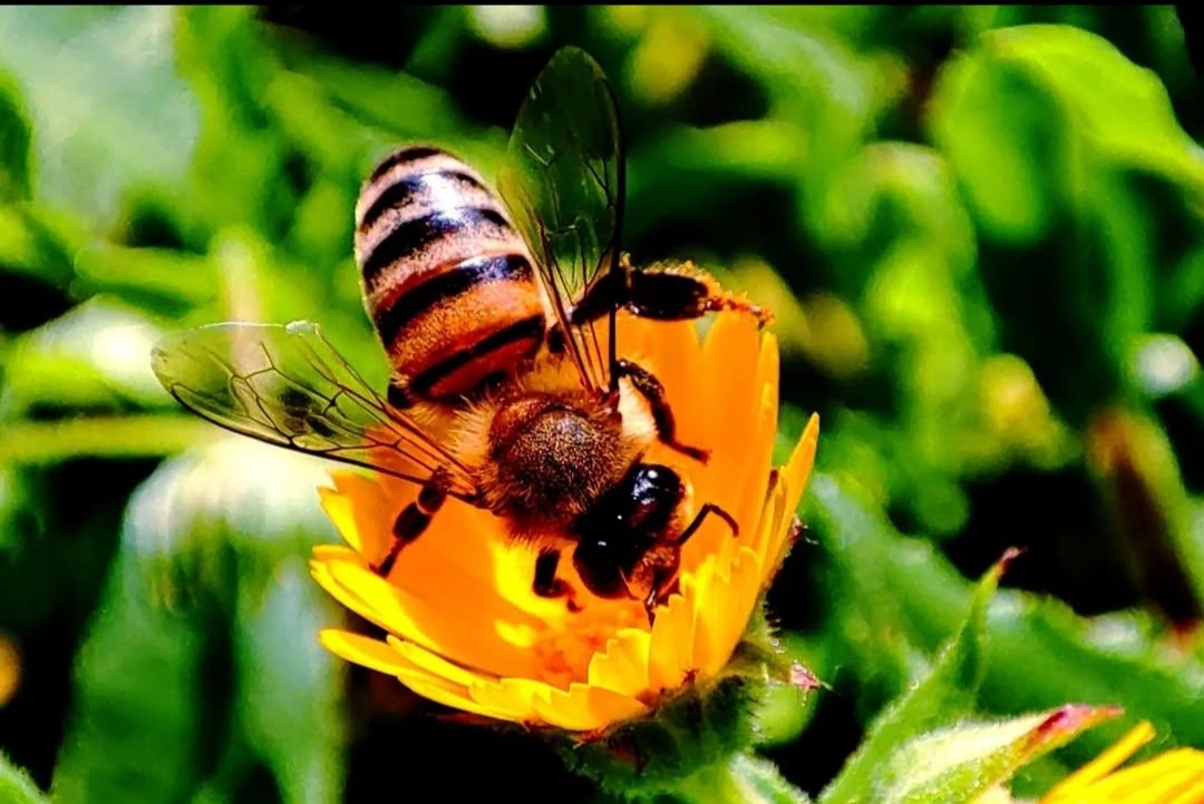 Zoalfekar🔱 tweet media