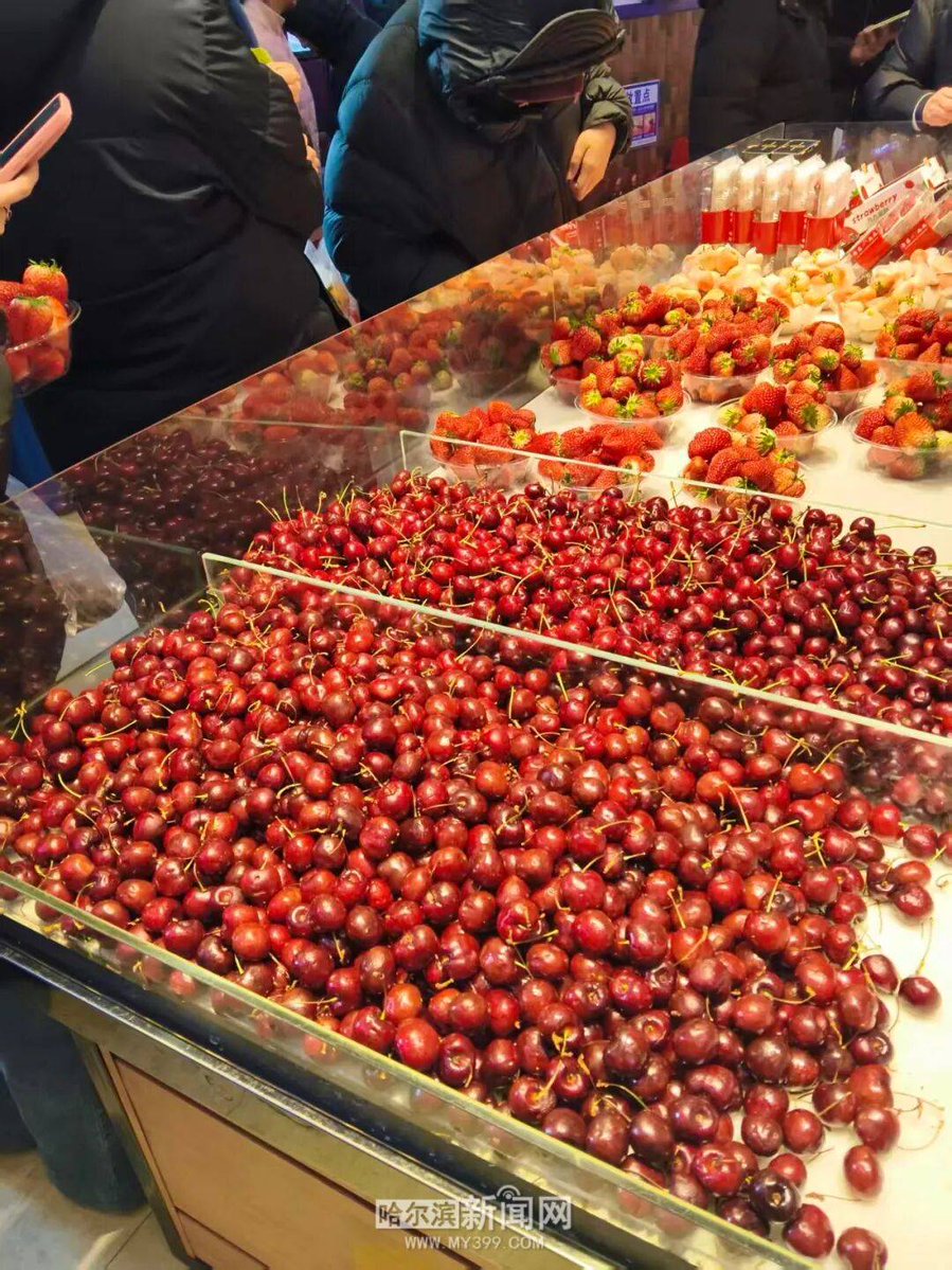 Alice24_10 tweet media