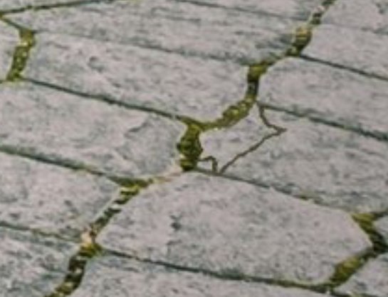 まめto𝑩𝑶𝑳𝑻 tweet media