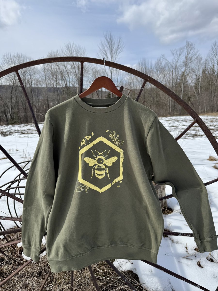 Old Hollow Tree tweet media